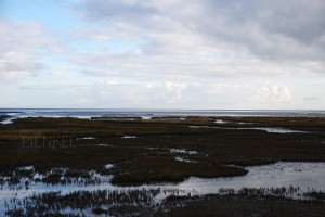 Wetlands Terschelling - 52 Weeks Photo Project